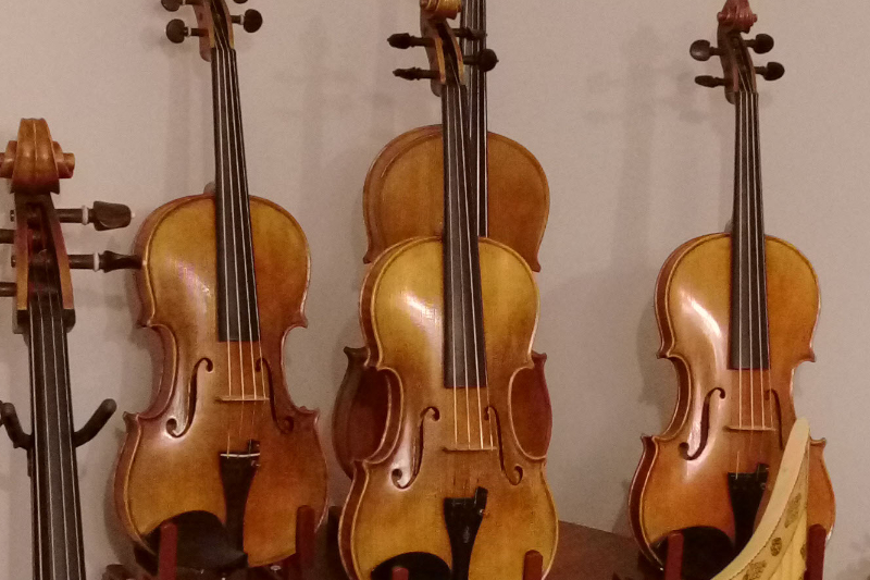 string quartet instruments flocello store hamilton