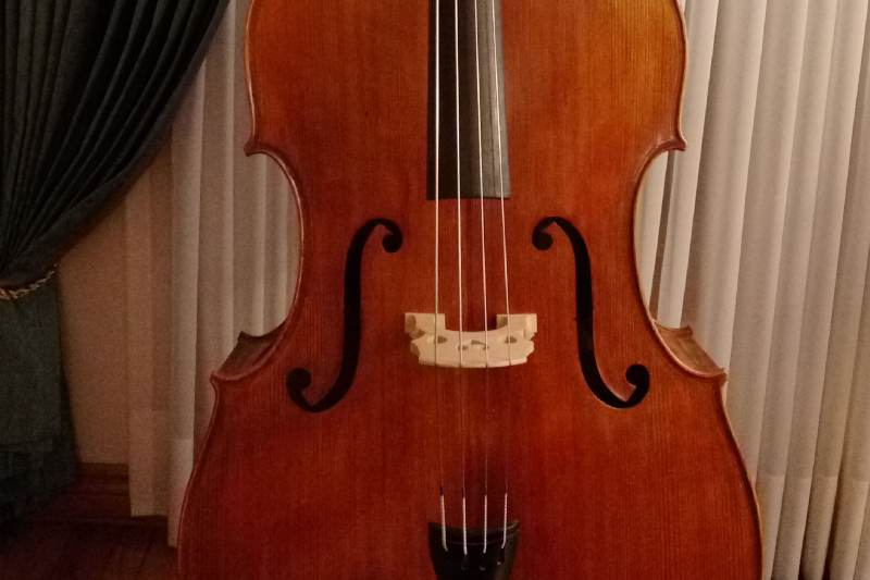 Student Quality Level Double Bass