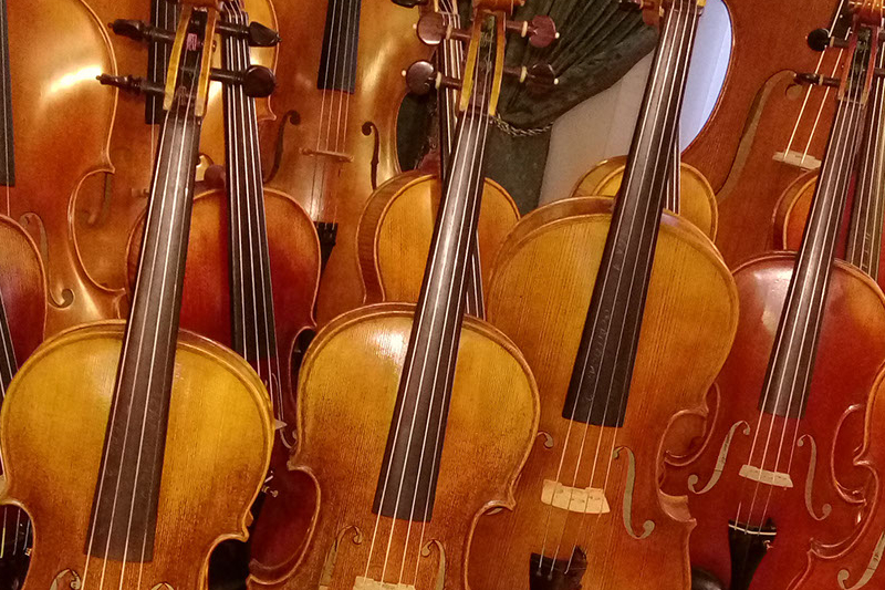 Student Quality Level Violins