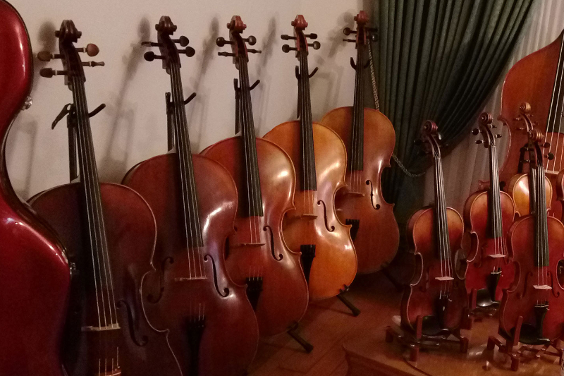 cello collection flocello store hamilton