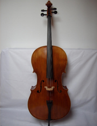 Cello Amati Model