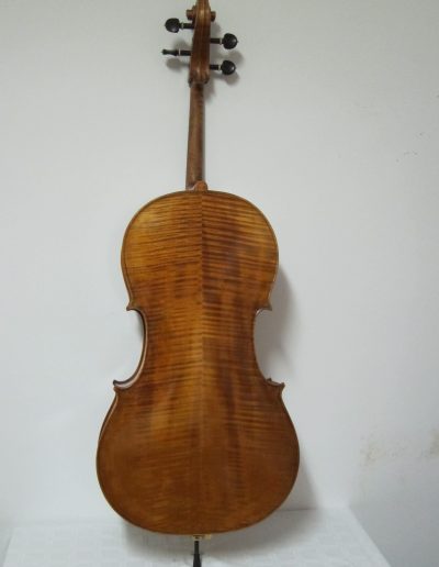 Cello Amati Model