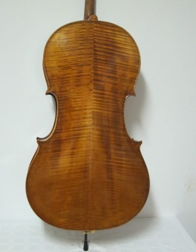 Cello Amati Model