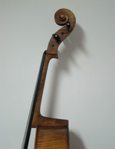 Cello Amati Model