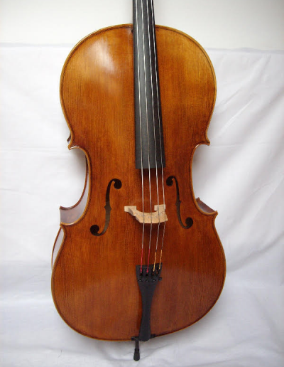 Cello Amati Model