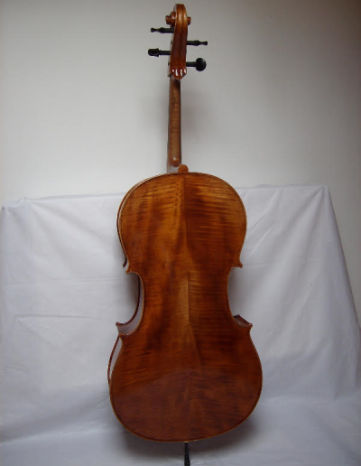 Cello Amati Model