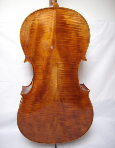 Cello Amati Model