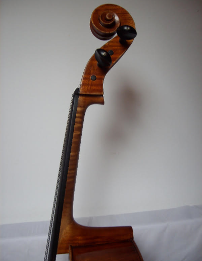 Cello Amati Model