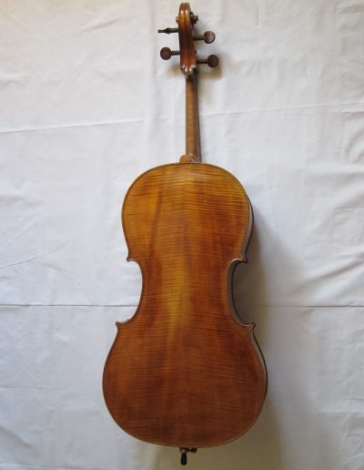 Cello Amati Model