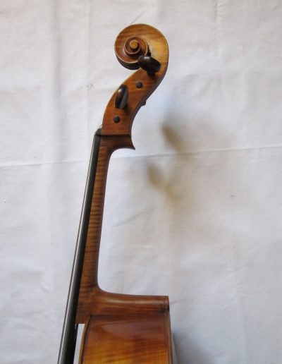 Cello Amati Model