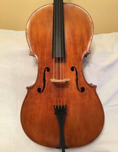 Cello Amati Model