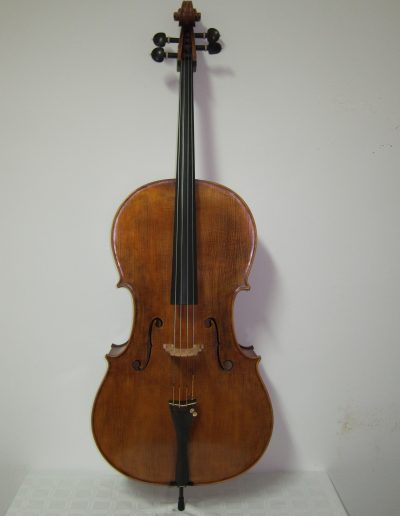 Cello Amati Model