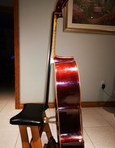 Cello Guarneri