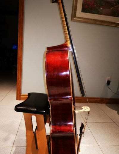 Cello Guarneri