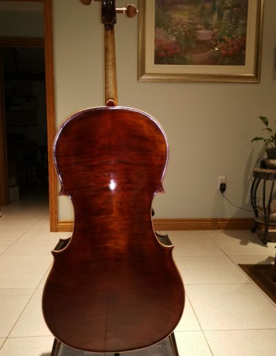 Cello Guarneri