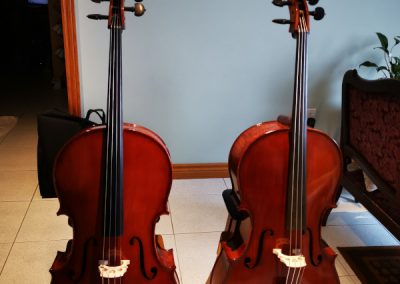 Cello and Double Bass Stand/Stool