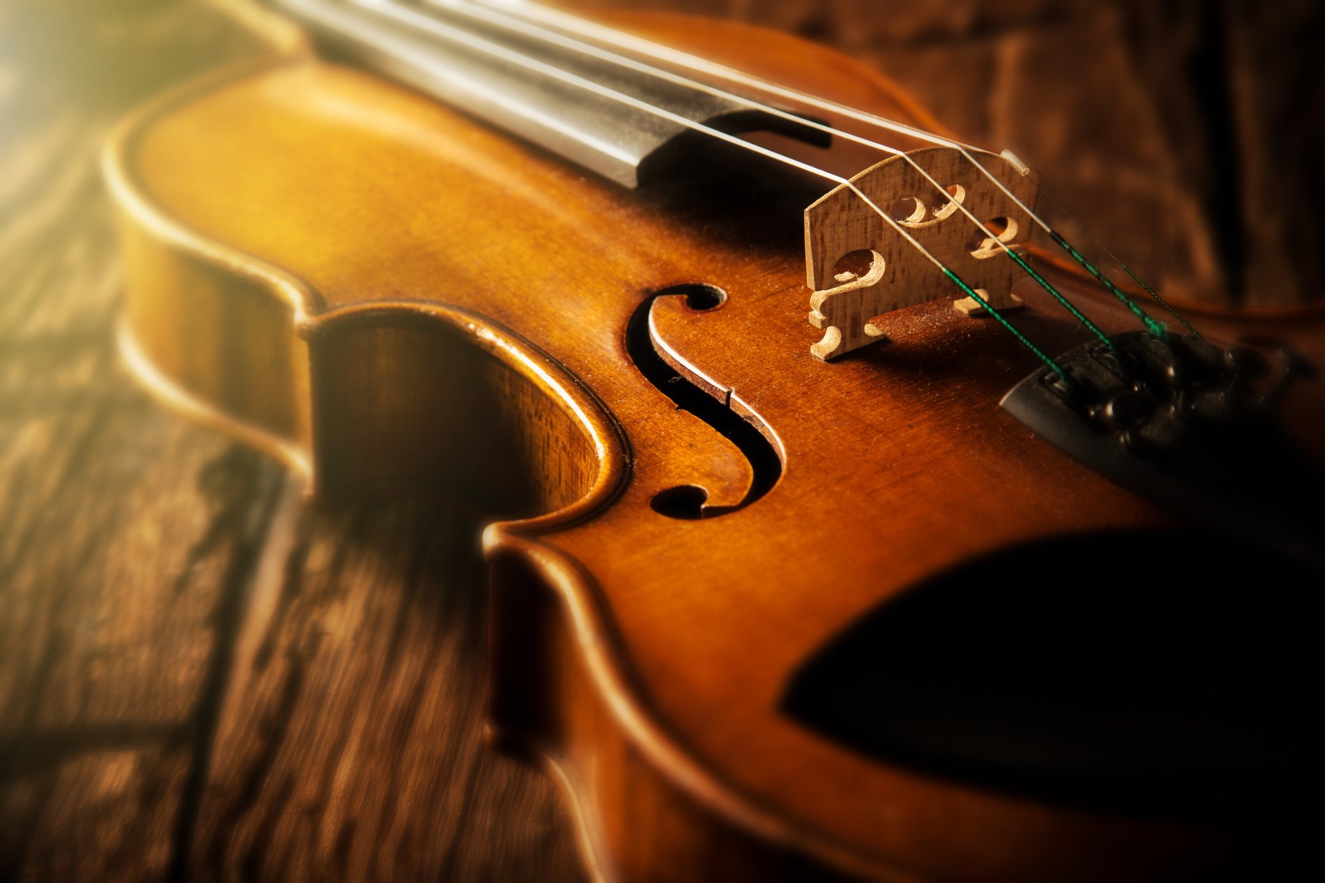 String instrument store discount